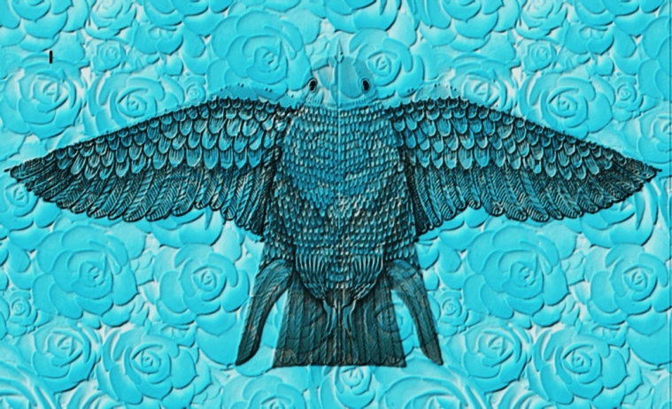 Bird of hope template for screen prints